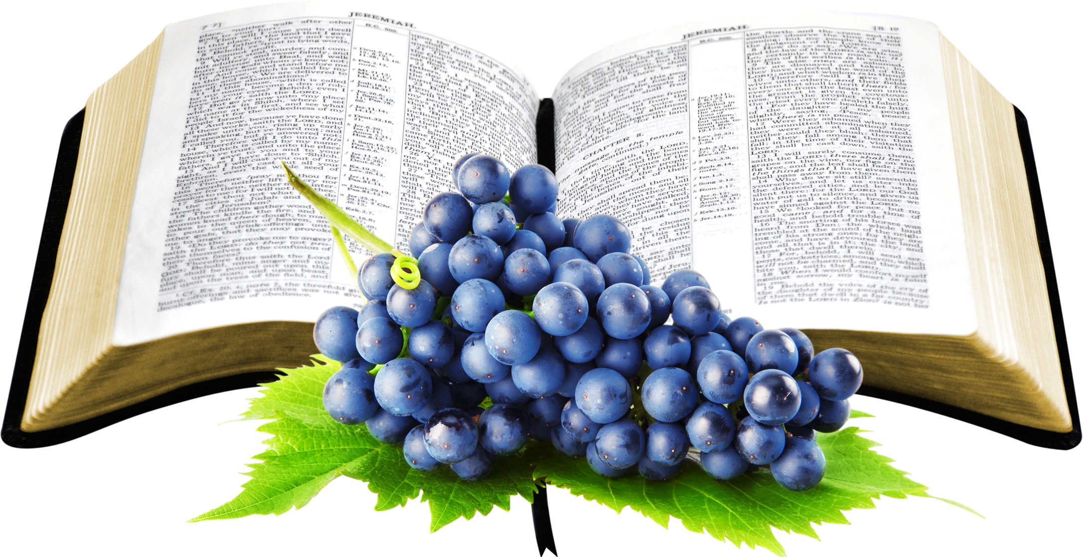bible